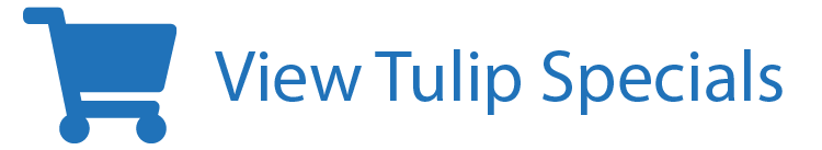 View Tulip Specials View Tulip Specials